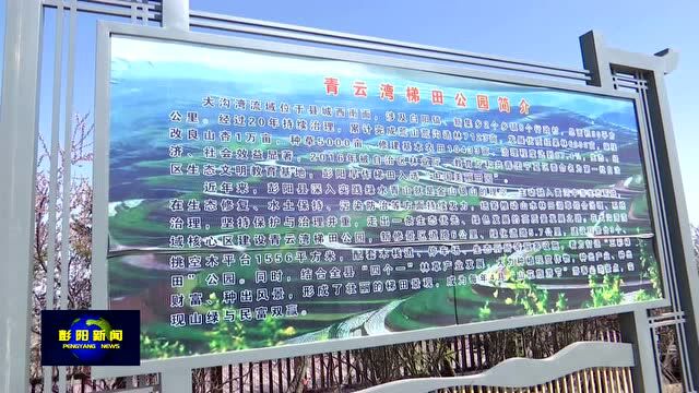 自治区政协监督调研彭阳县深化“四权”改革 推动生态建设工作