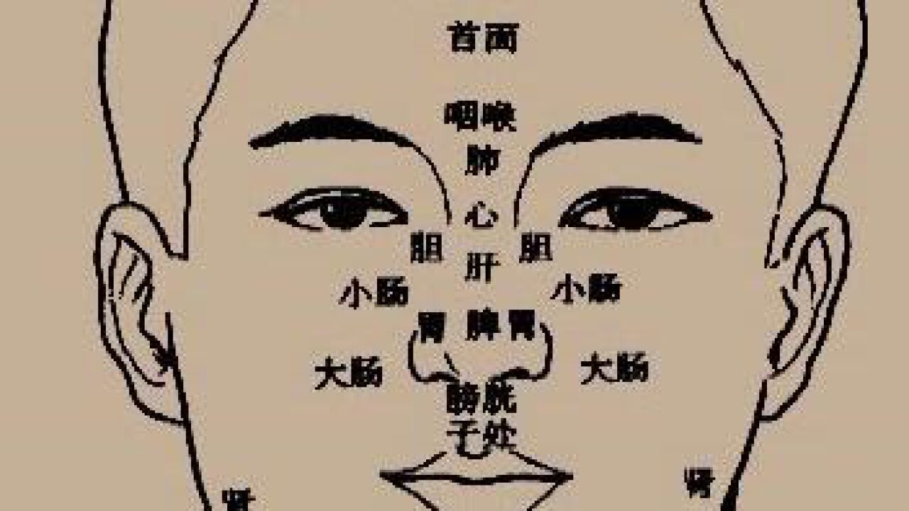 中医面诊知识讲座_高清1080P在线观看平台_腾讯视频