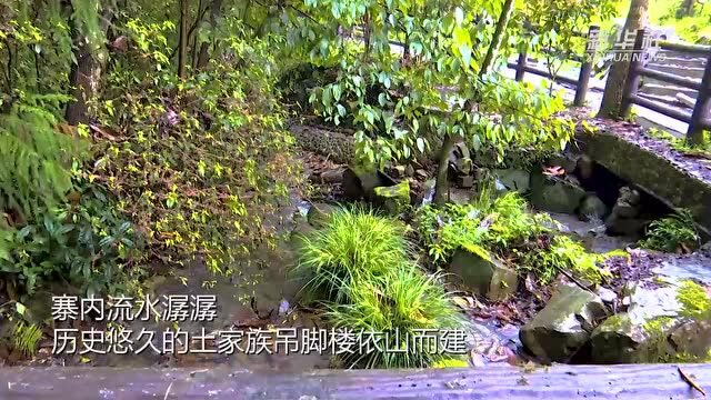 湖北来凤:“打卡”大山深处“网红”古村落