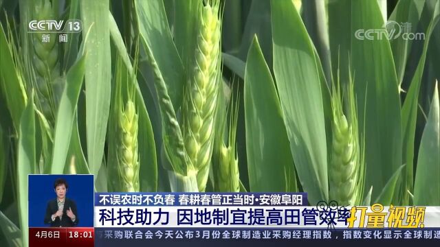 安徽阜阳:农户使用“黑科技”,因地制宜提高田管效率