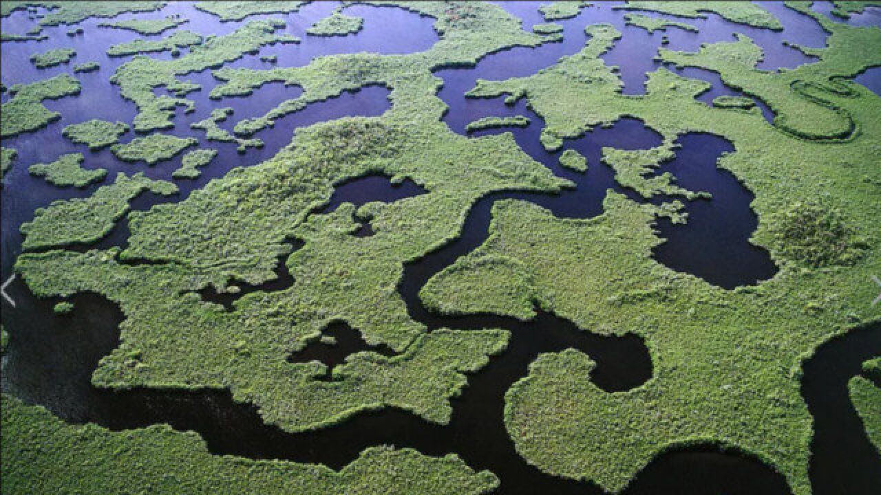 雨季来临,沼泽像海绵一般,吸收了尼罗河的精华!