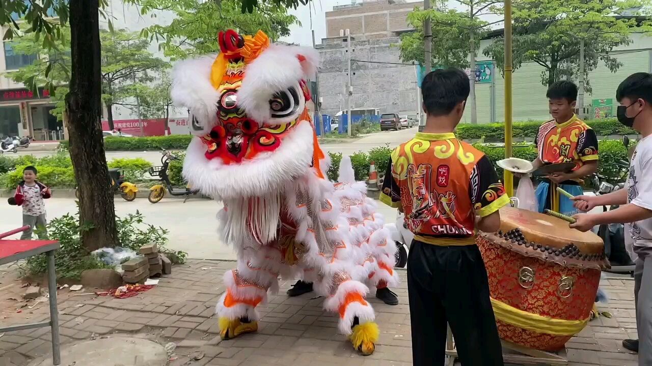 非物质文化遗产舞狮表演!_高清1080P在线观看平台_腾讯视频