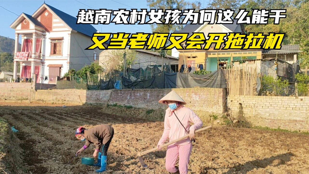 越南红妹又当老师又会开拖拉机耕地,越南农村女孩怎么都这么能干