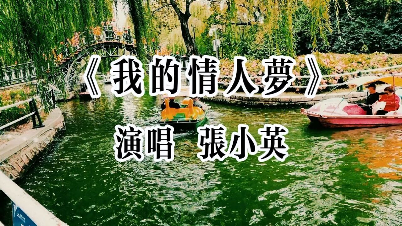 张小英《我的情人梦》情歌经典,怀旧金曲!