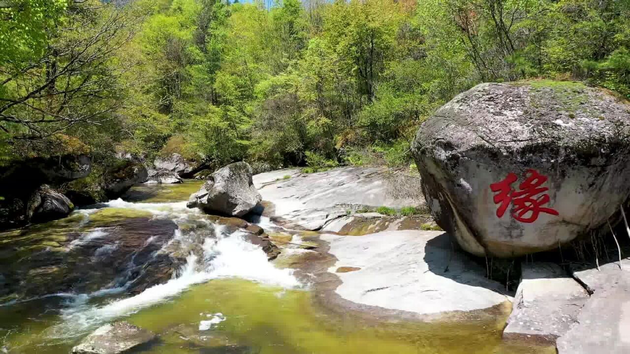 【兩漢三國真美漢中】三國聖地美麗勉縣 雲霧山