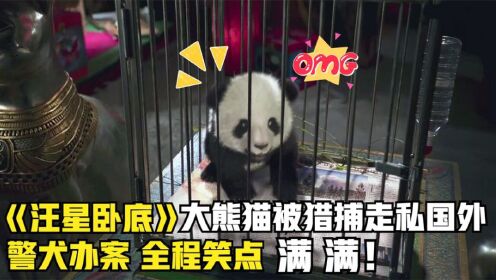 国宝小熊猫被绑架，警犬成功营救！美国喜剧电影 《汪星卧底》