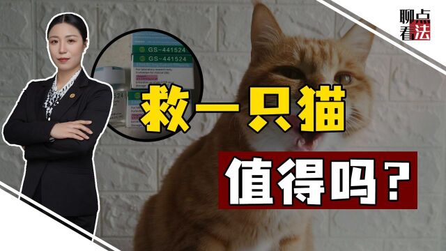 为了救猫,复旦女研究生把自己搭进去了,超千万销售额说明问题