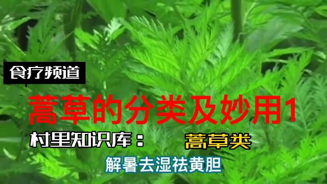 蒿草的分类妙用1