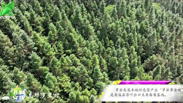 【飞阅安溪】虎邱罗岩村