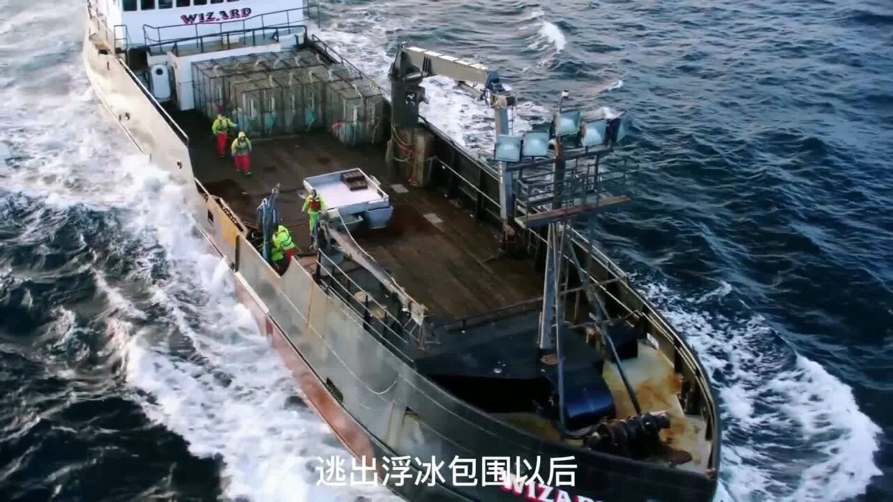 恶海捕蟹记 渔船逃离危险后获得雪蟹丰收,最后时刻完成配额任务