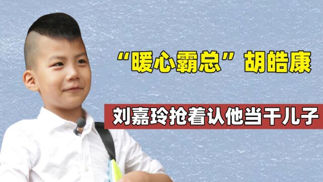 “最小霸总”胡皓康,14岁堪称内娱总攻,在爸爸去哪儿中暖心十足