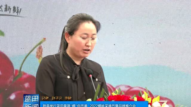 我县举行蓝田果蔬“樱”你而美,2022樱桃采摘节暨品牌推介会