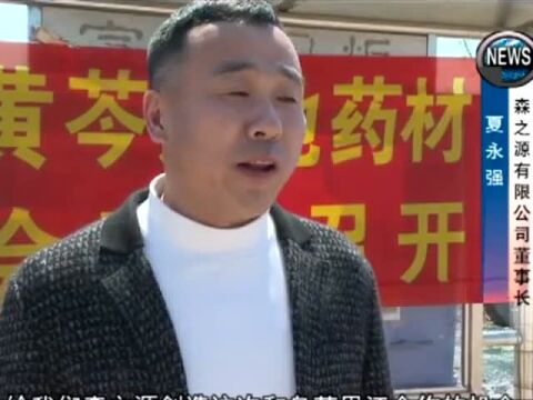 【我们的新时代】振兴药材产业 助力农民增收我市召开黄芩产业发展现场推进会