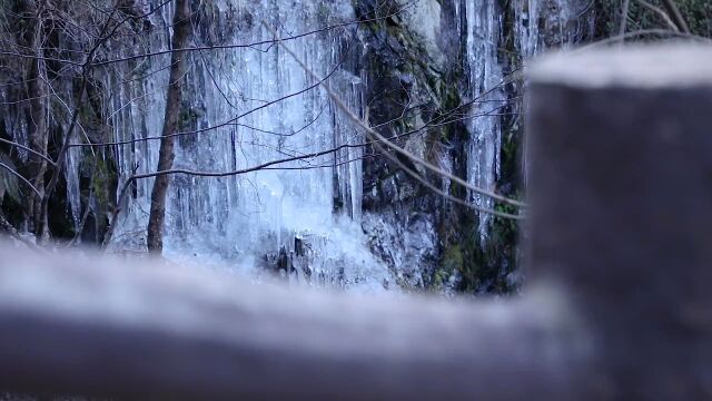 实拍4K冬天冬季冬日唯美雪景下雪冰雪冰柱视频 (13)