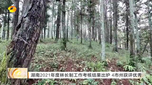 怀化优秀!湖南省2021年度林长制工作考核结果“出炉”