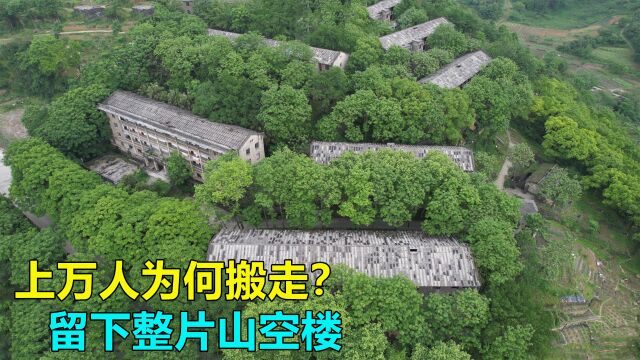 上千人到重庆深山建校,发展到上万人为何又走了?留下整片山空楼