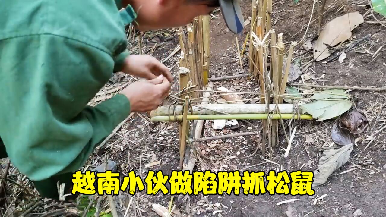 越南森林裡的打野小天才,製作高技術陷阱,抓到2只松鼠燒烤