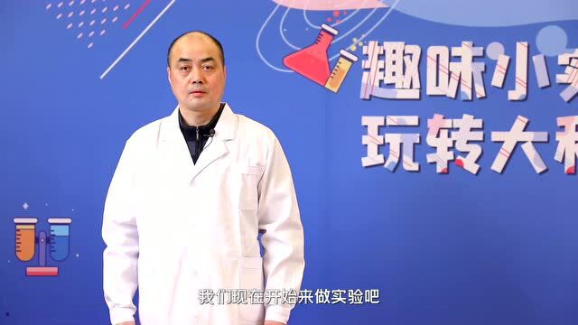 在家也能自制洗手液,简单又方便!丨蝌学实验