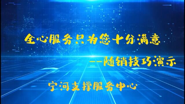 全心服务只为您十分满意随销小技巧演示宁河支撑服务中心王俊萍吴均旺