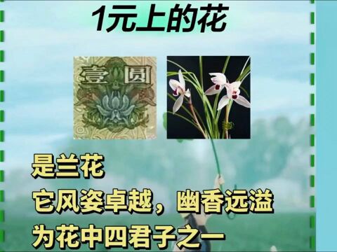 人民币各面值都有那些花