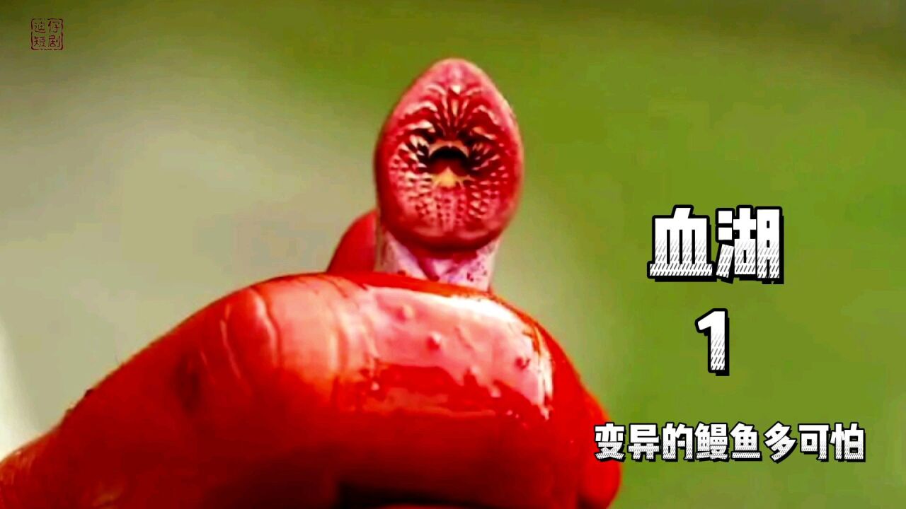 变异鳗鱼多可怕