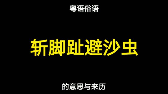 粤语俗语“斩脚趾避沙虫”的来历,许多人都不知道!