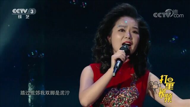 唐丽丽深情献唱邓丽君的经典歌曲《星》,值得细细品味