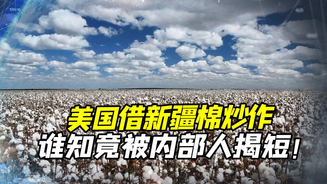 美国借新疆棉炒作,谁知竟被内部人揭短,曝出背后丑陋一面