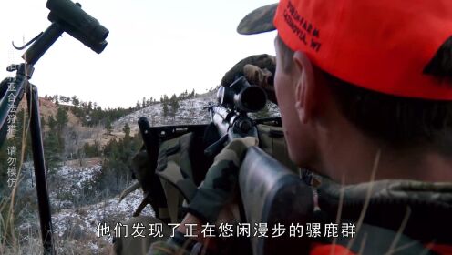 纪录片：肉食猎者：狩猎骡鹿