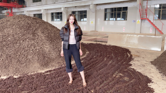 小酒妹亲自光脚下车间,揭秘酱香酒生产过程,不会有脚气吗?