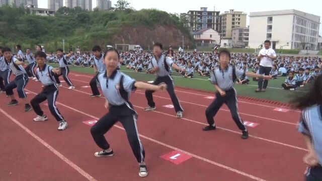 枫林街道芙蓉学校:武术进校园成效显然