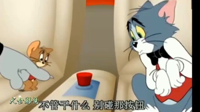 猫和老鼠1