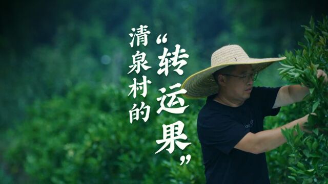 清泉村的“转运果”