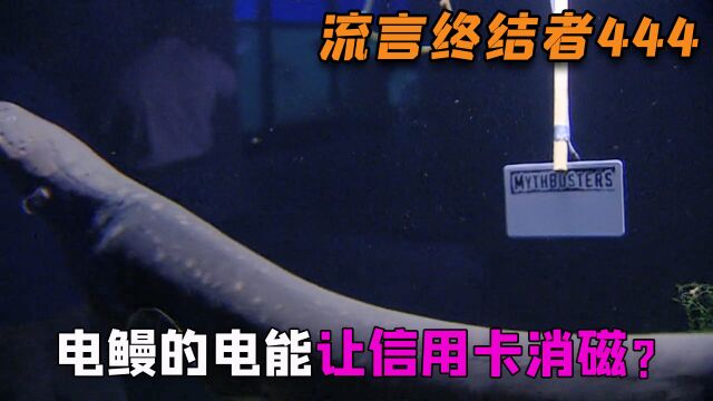 据说用电鳗的电电信用卡,信用卡会因为电力被消磁,这是真的吗?