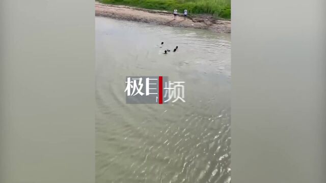 【视频】河南商丘两中学生落水,志愿者和市民联手救起