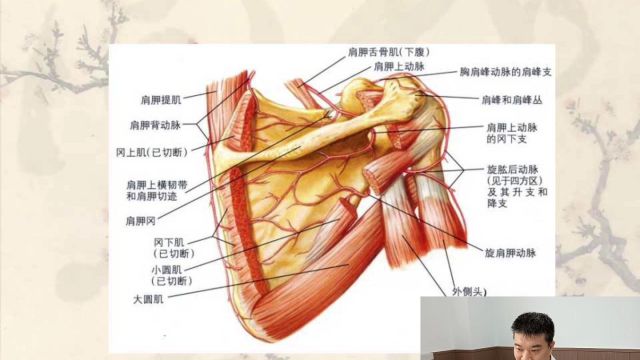 关节扩张配合针刀技术治疗肩周炎技术临床应用