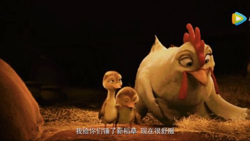 妈妈咪鸭#精彩片段