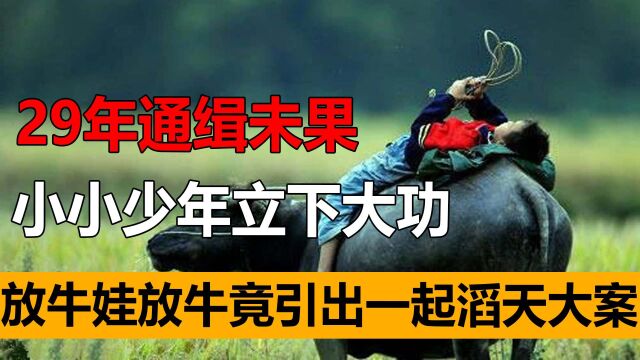 放牛娃放牛竟引出一起滔天大案?29年通缉未果,小小少年立下大功