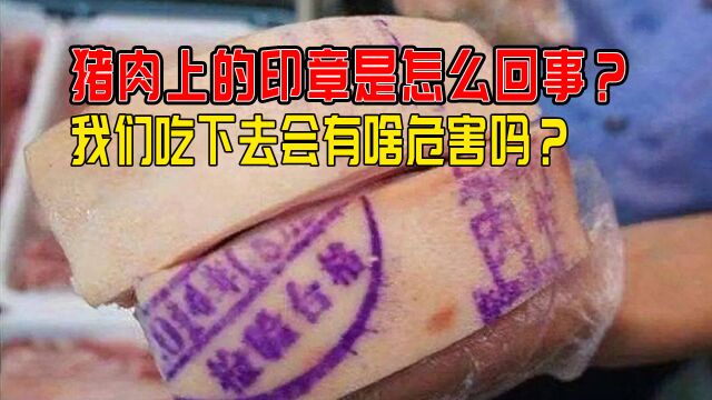 猪肉上的印章是怎么回事?我们吃下去会有啥危害吗?