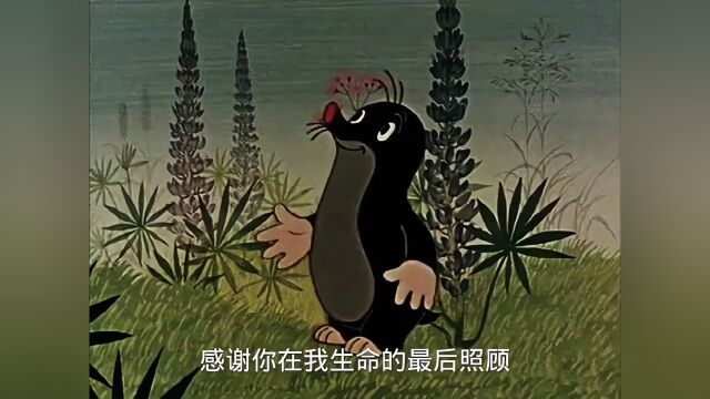 鼹鼠的故事 鼹鼠的新衣服