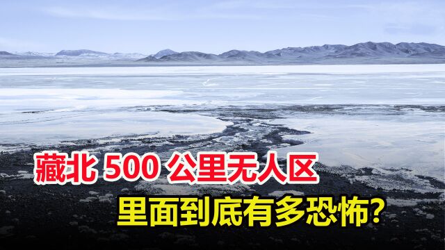 藏北500公里无人区有多可怕?探险家有去无回,背后有什么秘密?