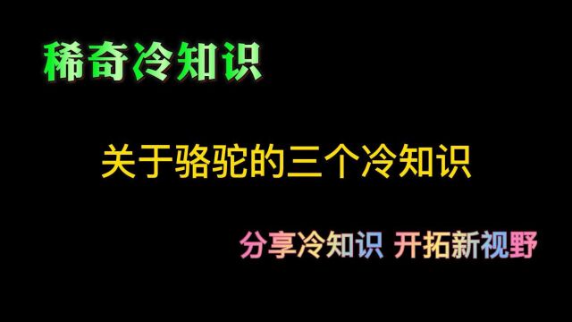 关于骆驼的三个冷知识