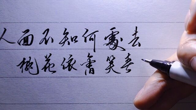 「手写」人面不知何处去,桃花依旧笑春风_腾讯视频