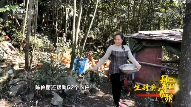 陈伶丽帮助52名农户建起了家庭农场,年收入达8万多元