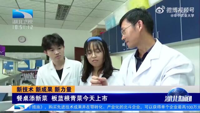 晚新闻丨领钱啦!石家庄7月25日前全部补发;河北省教育厅最新通知……