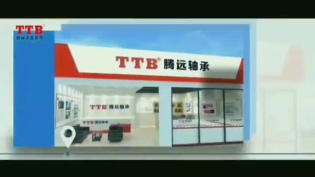 腾远国际控股 | TTB品牌