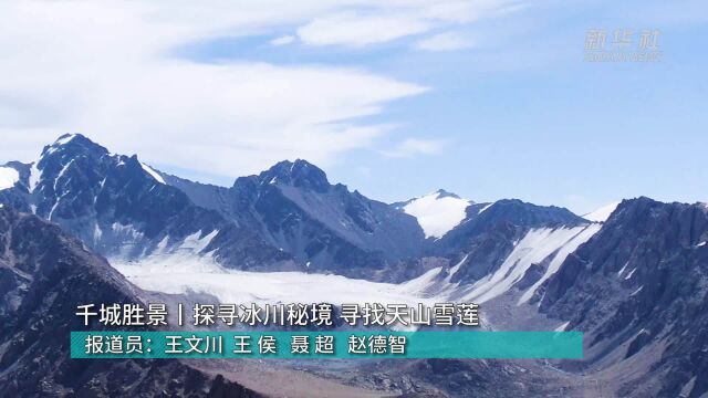 千城胜景丨探寻冰川秘境 寻找天山雪莲