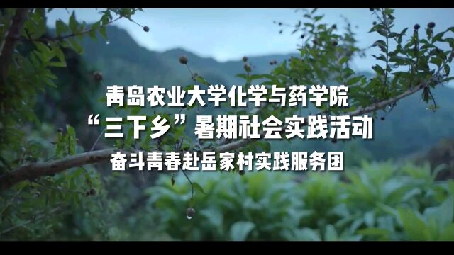 青岛农业大学化学与药学院“三下乡”暑期社会实践活动奋斗青春赴岳家村实践服务团过程记录