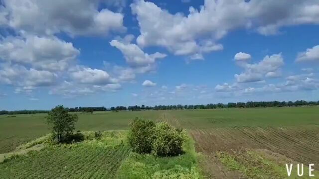 【大豆科技自强县】“地上”示范 “云上”看 农业专家田间地头搭起直播间