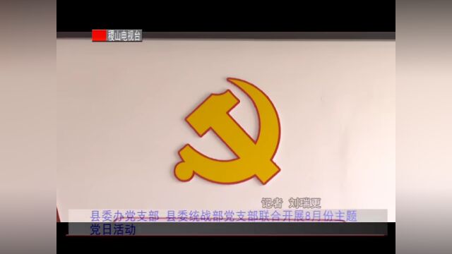 县委办党支部 县委统战部党支部联合开展8月份主题党日活动